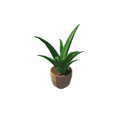 Plant_2