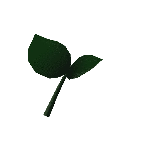 AC02_Leaf