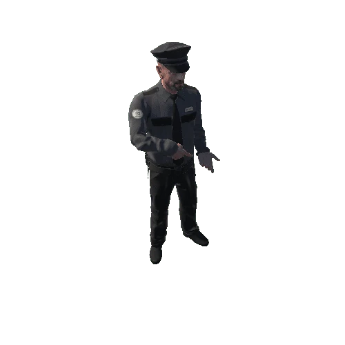 SecurityGuard_Hat_2