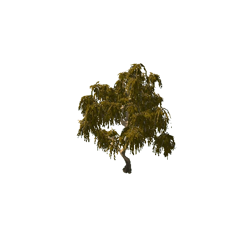 Tree4_1