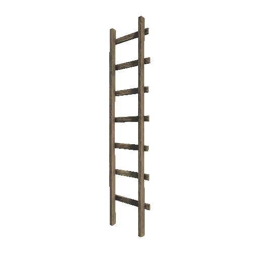 ladder