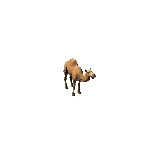 CamelDromedary_SuperLowpoly