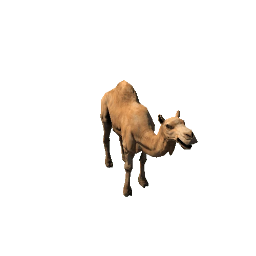 CamelDromedary_SuperLowpoly_RM