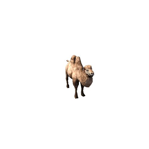 Camel_Bactrian_SuperLowpoly