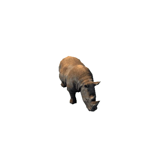 Rhino2_RM_SLP_Dirt