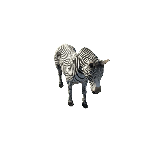 Zebra_FV_RM_MX_FBX