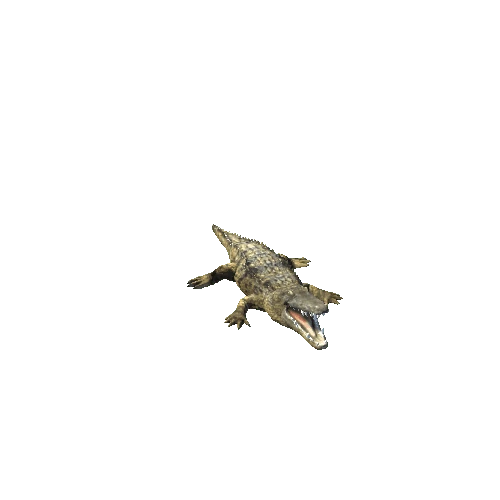 crocodile_02_IP_HP