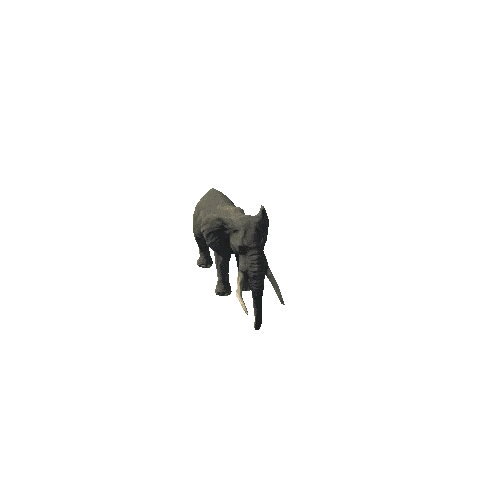 elephant_ii_sv_ip_SLP_mat3