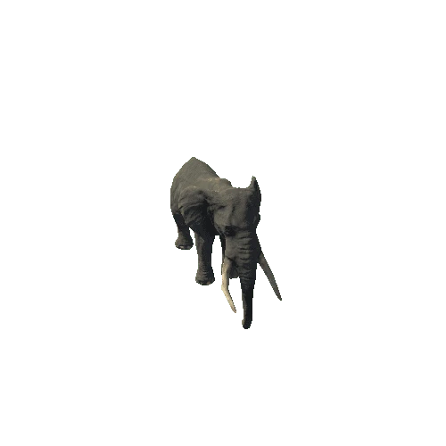 elephant_ii_sv_rm_SLP_mat3