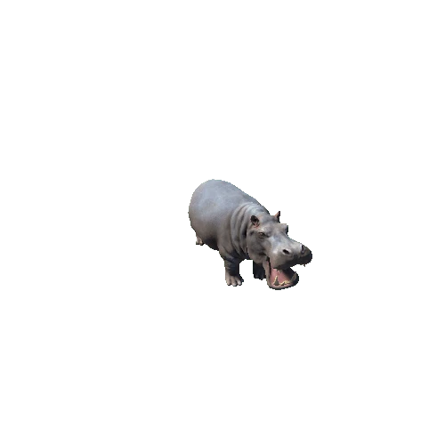 hippopotamus_SV_IP