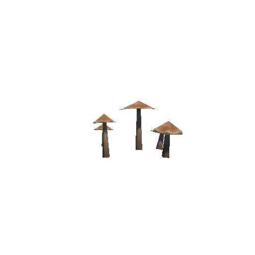 Shrooms_2