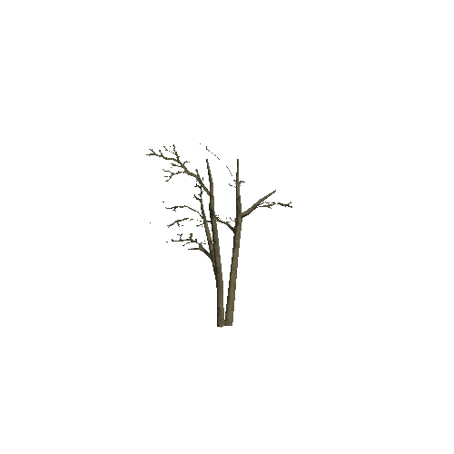 Small_Tree_1