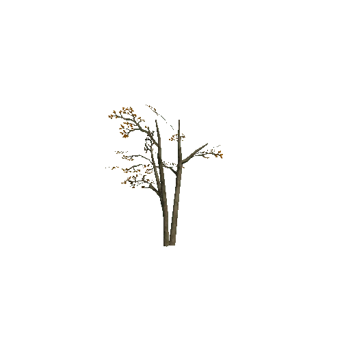 Small_Tree_1B