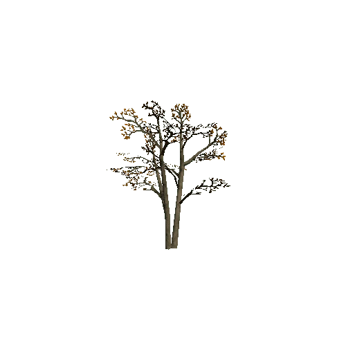 Small_Tree_1B_Twosided