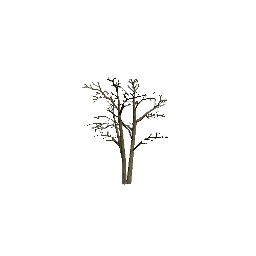 Small_Tree_1_Twosided