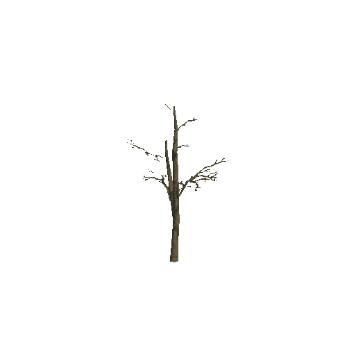 Small_Tree_2