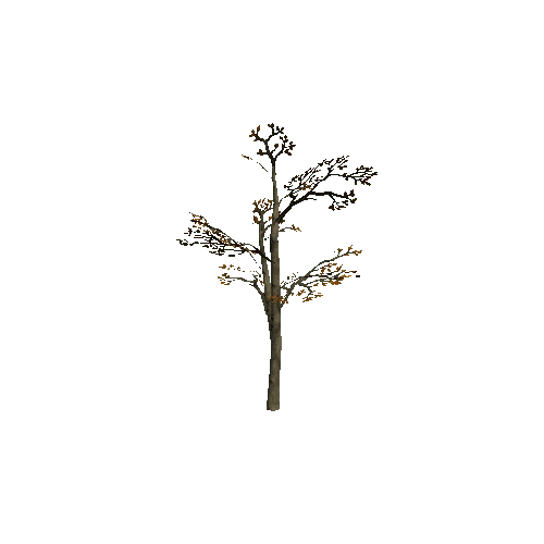 Small_Tree_2B_Twosided