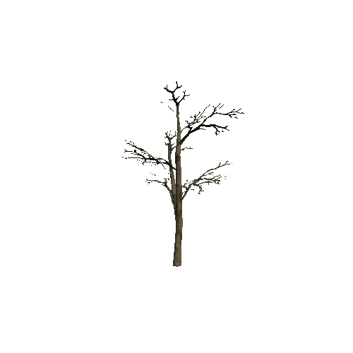 Small_Tree_2_Twosided
