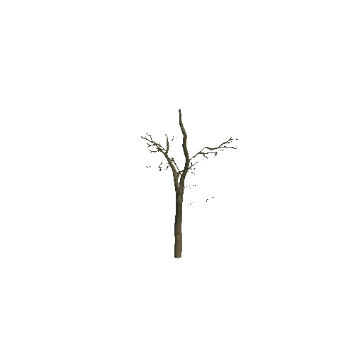 Small_Tree_3