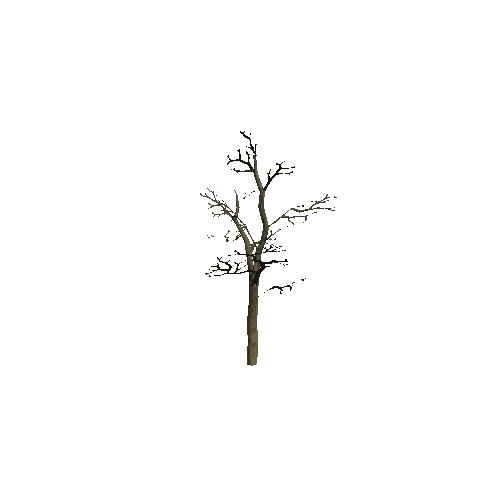 Small_Tree_3_Twosided