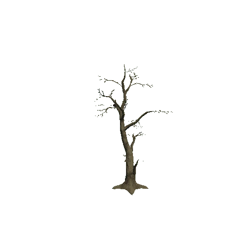 Tree_1