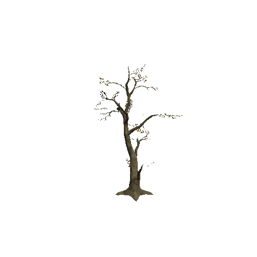 Tree_1B