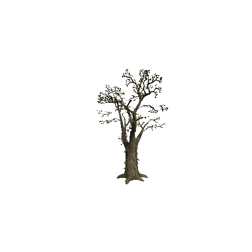 Tree_2B_Twosided