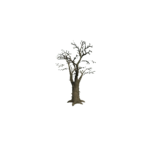 Tree_2_Twosided