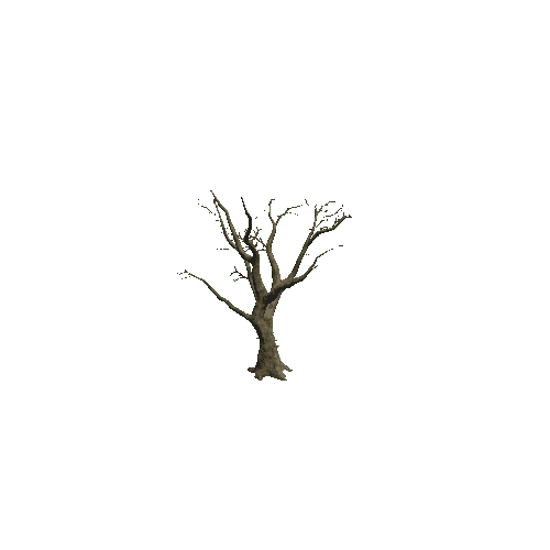 Tree_4