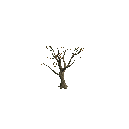 Tree_4B