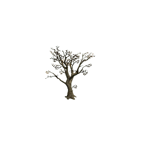 Tree_4B_Twosided