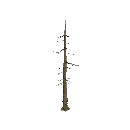 Tree_5_Twosided