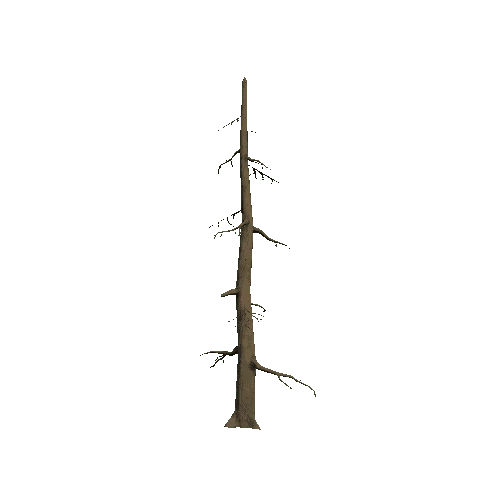 Tree_6_Twosided