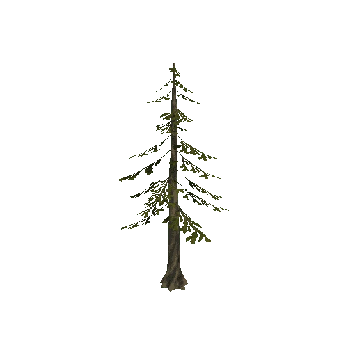 Tree_7