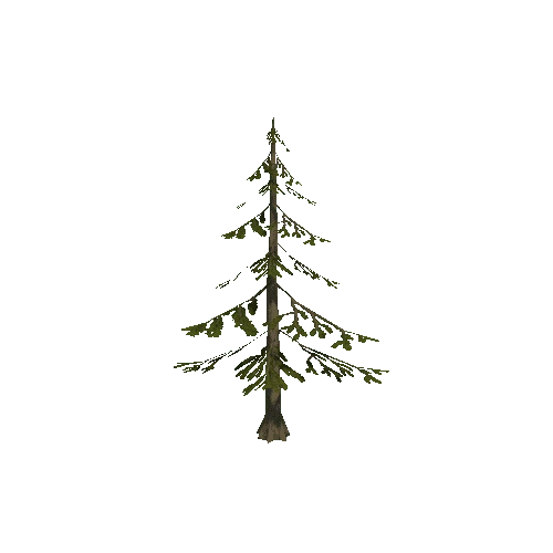 Tree_7B