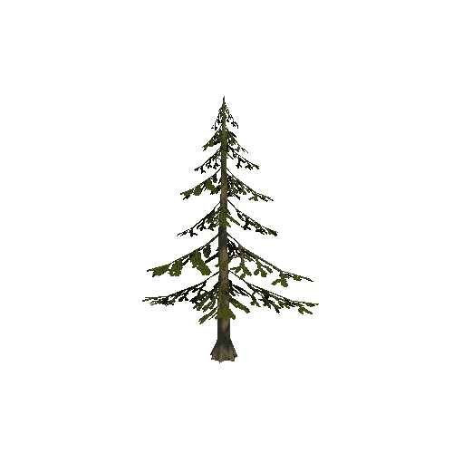 Tree_7B_Twosided