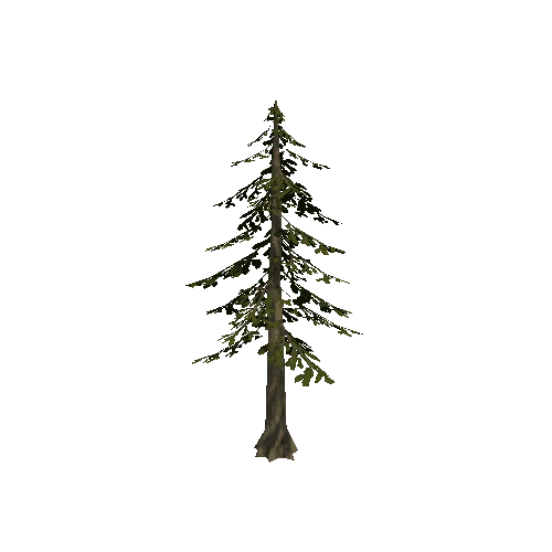 Tree_7_Twosided