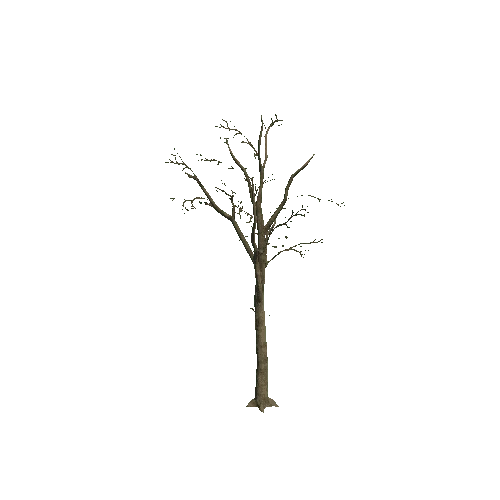 Tree_8