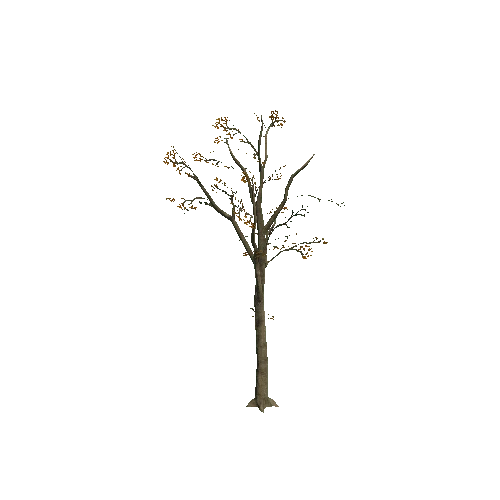 Tree_8B