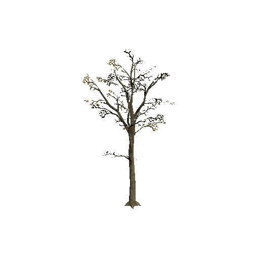 Tree_8B_Twosided