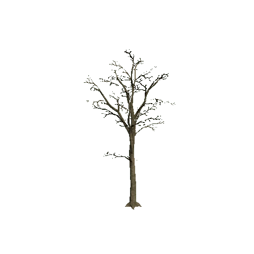 Tree_8_Twosided