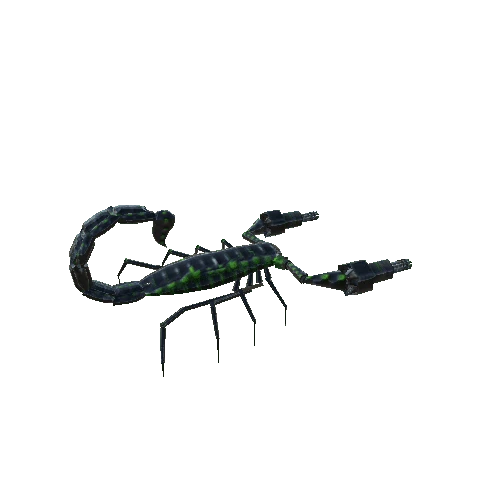 ScorpionGood2