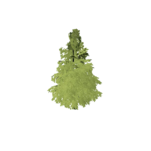 Linden_Tree_B_Terrain