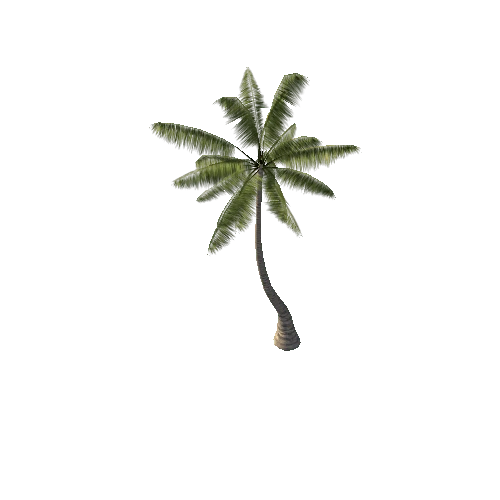 Palm_Tree_C_Terrain