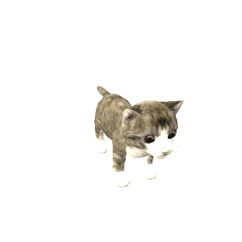 cu_cat2_model