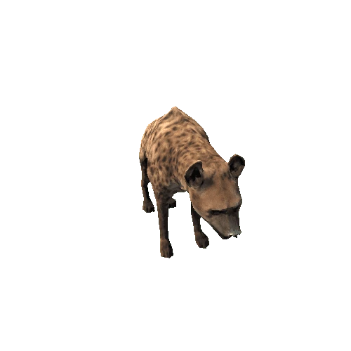 hyena_sv_rm_SLP