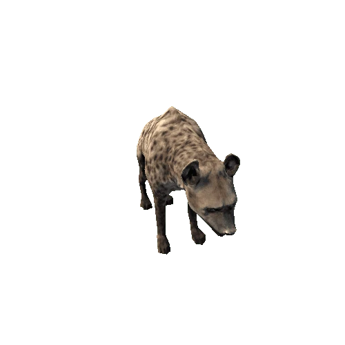 hyena_sv_rm_grey_LP