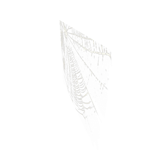 da_3_spider_web