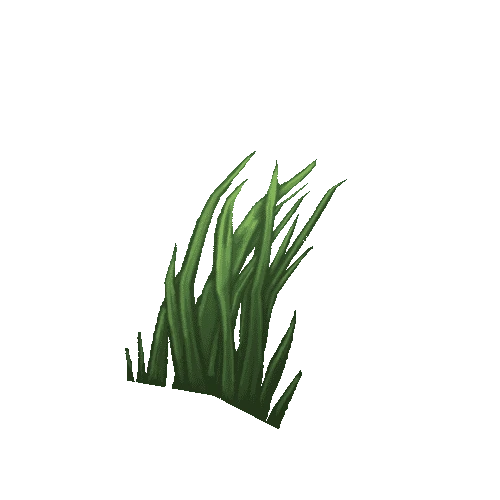 Herb_LushGrass_C