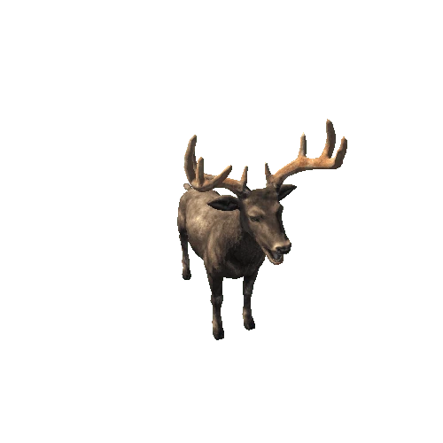 Deer_Stag_RM_MX_LP__Black